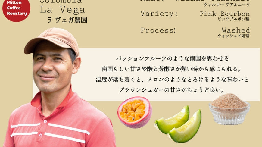 デカフェ、コロンビアなど新豆入荷