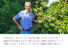 サンタエレナ農園の100年樹のコーヒーの木と、生産者フェルナンド・リマさん